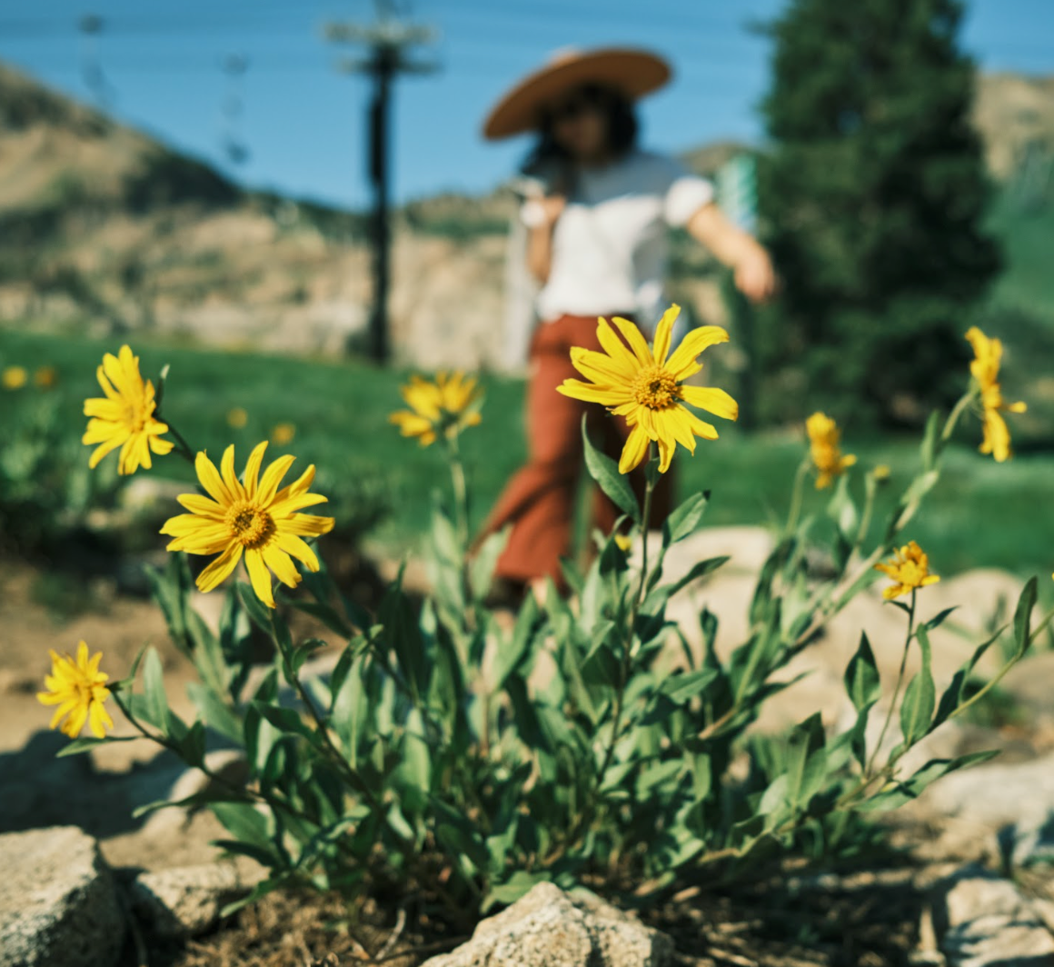 What to Expect When Switching to Plant-Based Skincare and Pain Relief