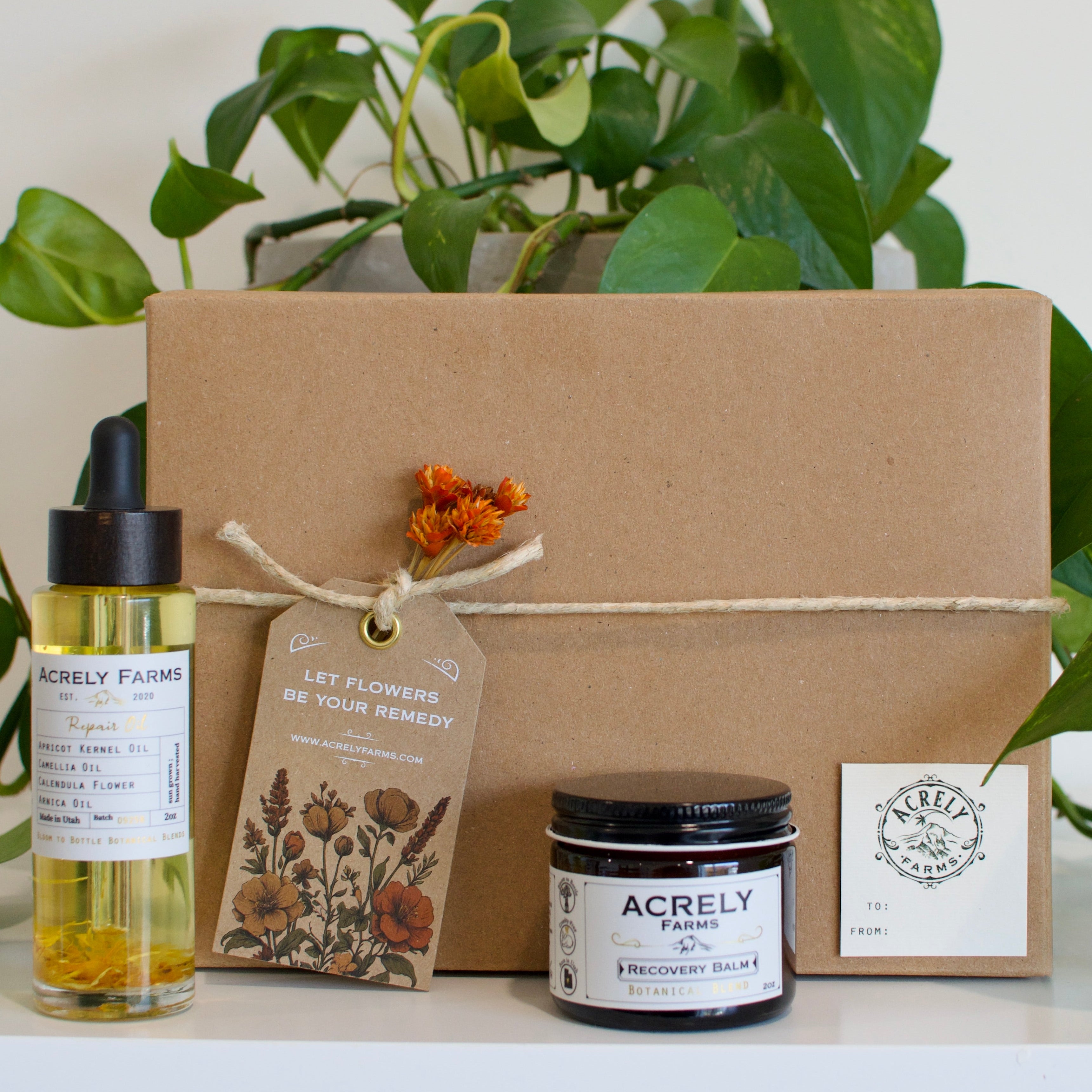 Acrely Farms skincare products, including a bottle, jar, and box with plants in the background