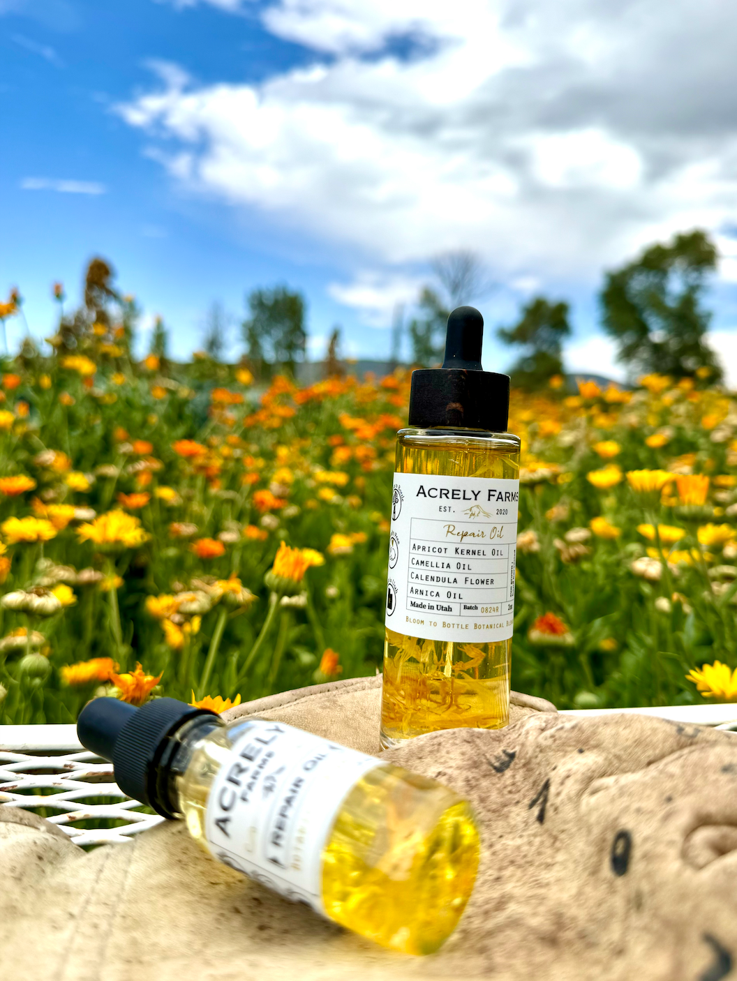 Repair & Recover Duo - Bloom To Bottle